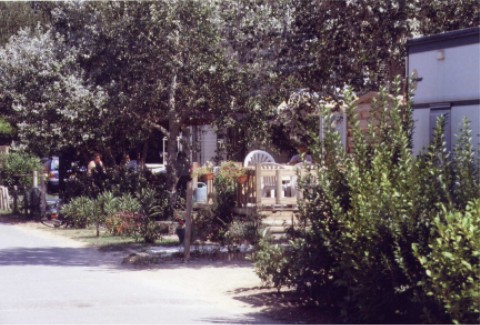 wmh08.jpg